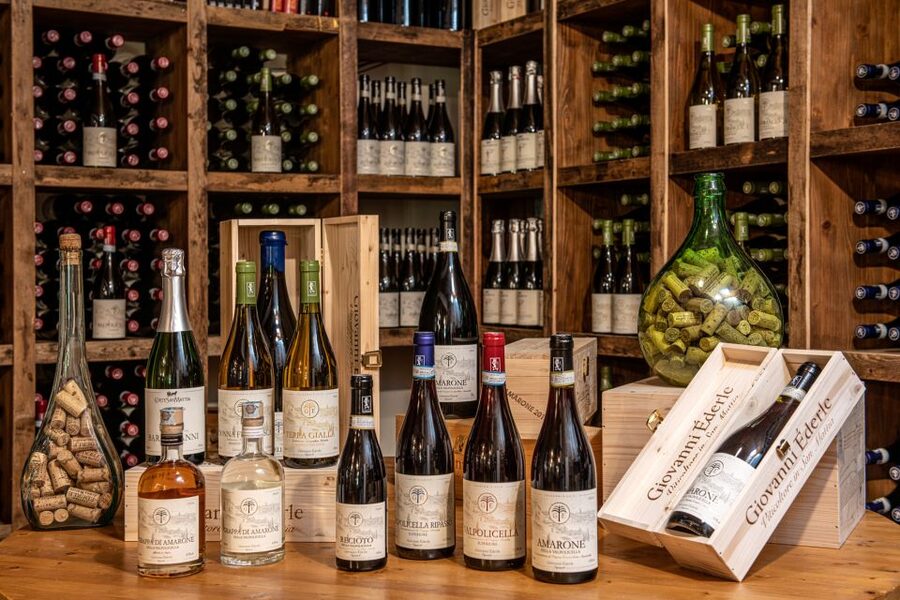 Verona: Wine Tasting with Snacks and Panoramic Views - The terrace view is the real finale