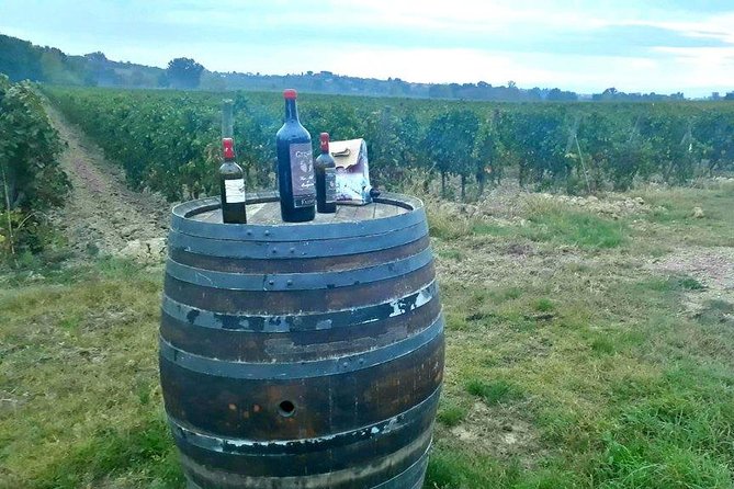 Vespa Tour with Lunch&Chianti Winery from Siena - Radda and the quiet country roads