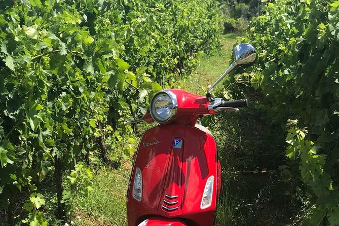 Vespa Tour with Lunch&Chianti Winery from Siena - How good is the lunch and wine value?