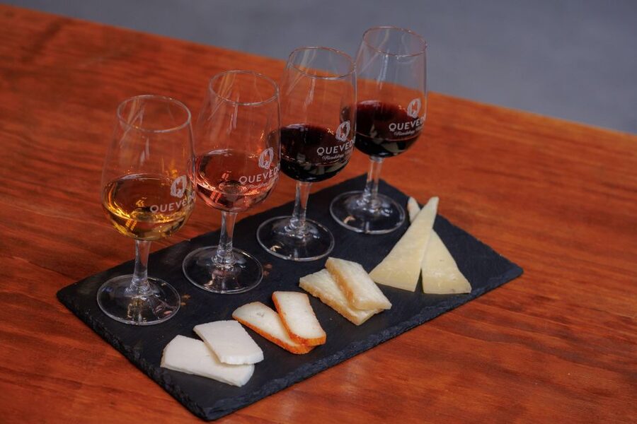 Vila Nova de Gaia: Port Wine Tasting with Cheese Pairing - What the One-Hour Visit Feels Like