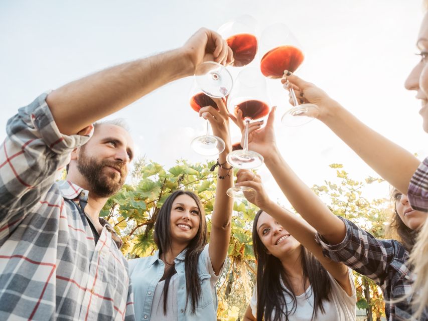 Vineyard Sips: Family Winery Tour & Gourmet Tasting in Corfu - Booking, cancellation, and practical details