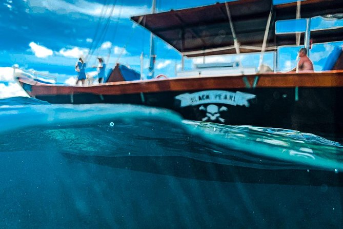 VIP Morning Delight Champagne Sailing and Snorkeling with Lunch - Is $129.99 a fair price?