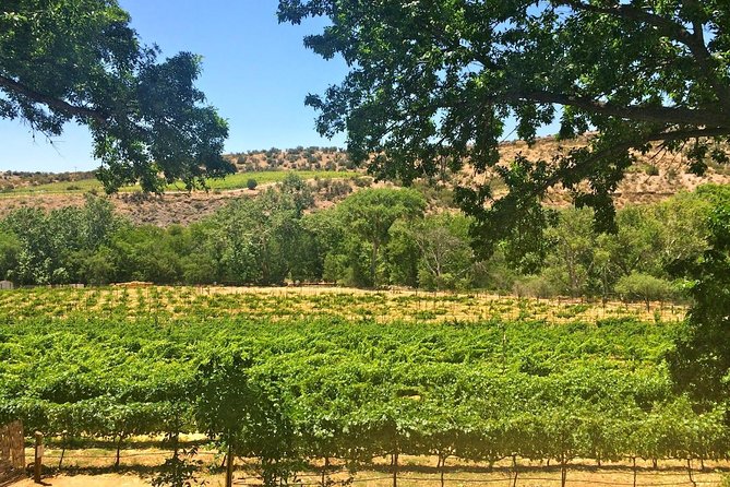 Visit 4 Wineries in Limo Party Bus-Includes Charcuterie Lunch! - What the $99.77 price really covers