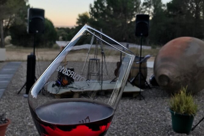 Visit and Wine Tasting at the Territorio Luthier Winery - Key points to know before you go