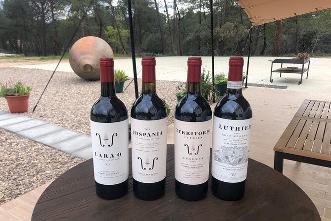 Visit and Wine Tasting at the Territorio Luthier Winery - The vineyard choices behind the bottles