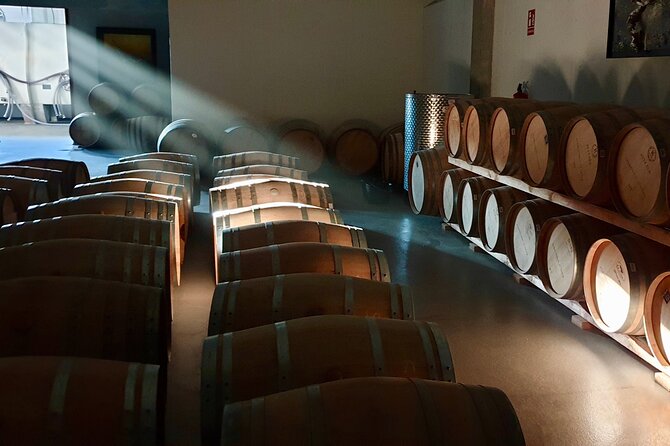 Visit and Wine Tasting at the Territorio Luthier Winery - Inside the production rooms
