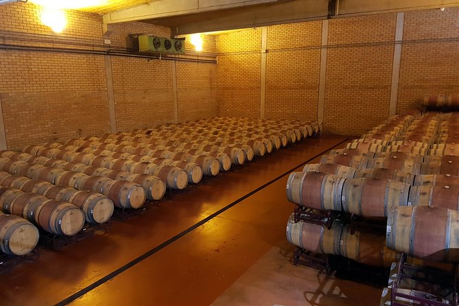 Visit and wine tasting with sausage and BODEGA PIRINEOS cheese - From grape entrance to bottling machine