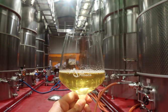 Visit and wine tasting with sausage and BODEGA PIRINEOS cheese - What the guides add to the visit
