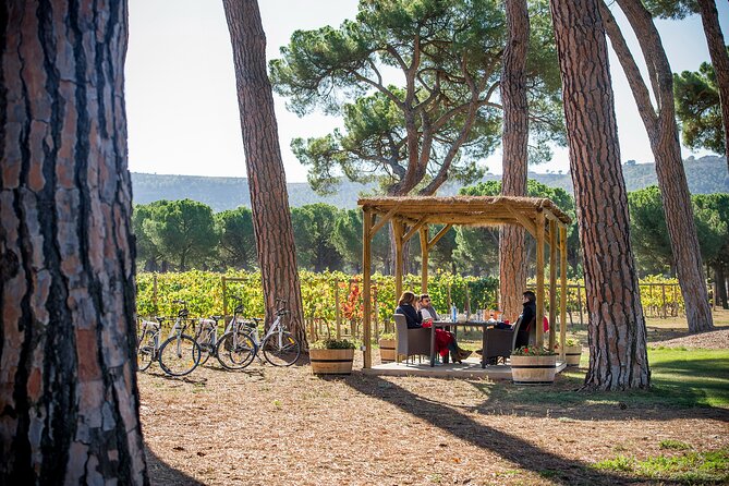 Visit La Joya Escondida de la Ribera del Duero Winery - Guide quality and group size