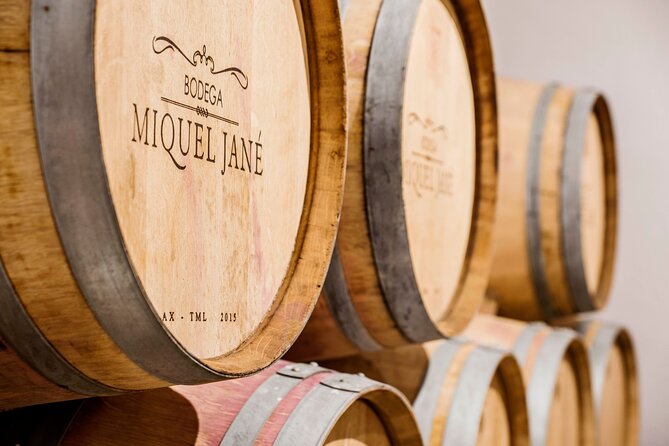 Viticulture and Wine-Tasting 3-Hour Trip from Barcelona - Key points at a glance