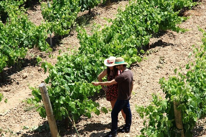 Viticulture and Wine-Tasting 3-Hour Trip from Barcelona - Who will enjoy this wine tour most