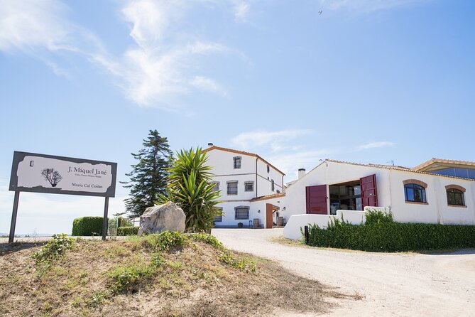 Viticulture and Wine-Tasting 3-Hour Trip from Barcelona - Walking through the vineyards