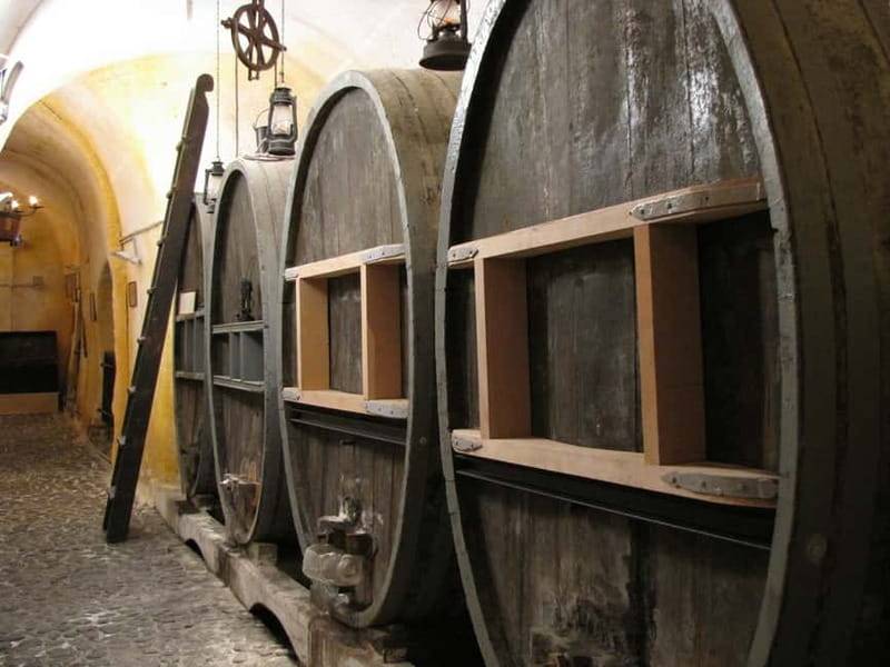 Vothonas: Wine Museum Ticket with Tastings and Audio Guide - Walking the 300-meter museum route