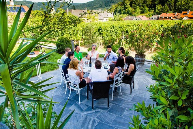 Wachau Valley Small-Group Tour and Wine Tasting from Vienna - Why the Wachau makes a smart day trip from Vienna