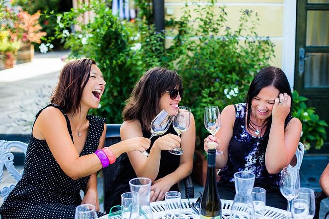 Wachau Valley Small-Group Tour and Wine Tasting from Vienna - The summer Danube cruise is the tour’s relaxing pause