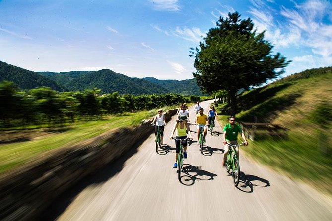Wachau Valley Wine Tasting Bike Tour from Vienna - Dürnstein Abbey and the fortress above town