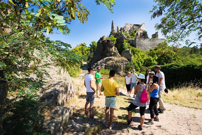 Wachau Valley Wine Tasting Bike Tour from Vienna - How hard is the 25-kilometer route?