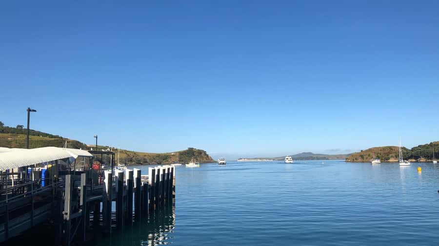 Waiheke Island Gourmet Food and Wine Tour with Lunch - Rangihoua Estate and the appeal of olive oil