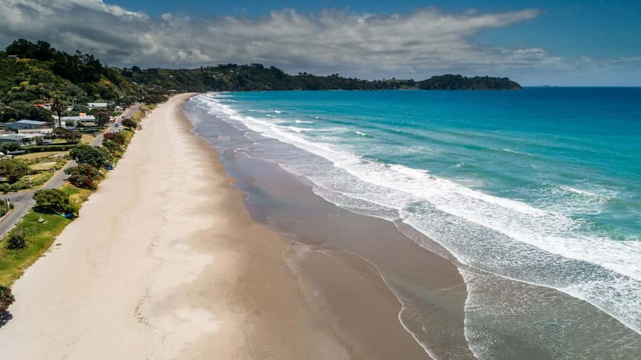 Waiheke Island Gourmet Food and Wine Tour with Lunch - The guides make a practical difference
