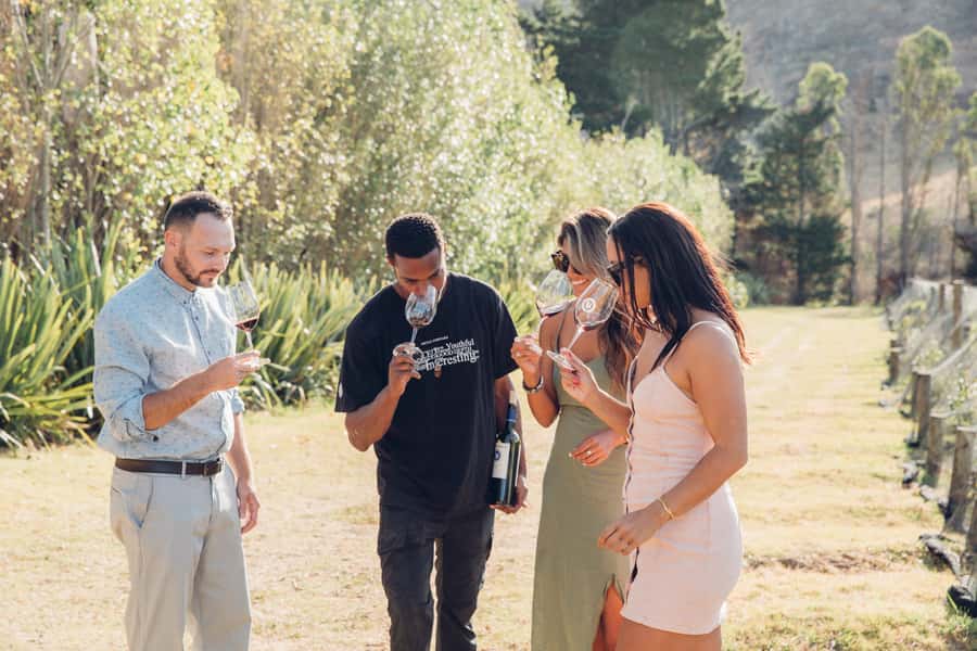 Waiheke Island: Scenic Island Wine Tour & Local Wine Tasting - Starting at Matiatia Wharf