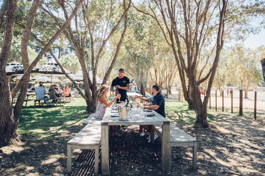 Waiheke Island: Scenic Island Wine Tour & Local Wine Tasting - The winery stops and what to expect