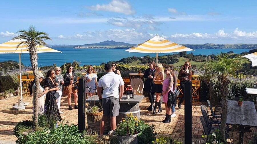 Waiheke Island: Scenic Island Wine Tour & Local Wine Tasting - Is $113 good value?