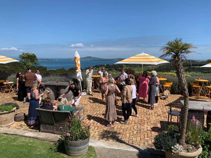 Waiheke Island: Wine Tour & Lunch at Award Winning Venue - Practical points before you book