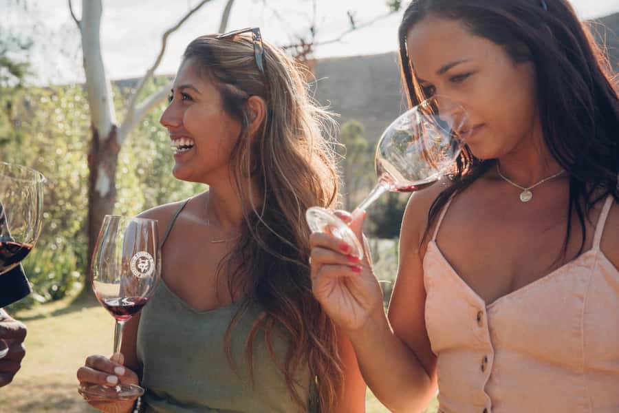 Waiheke Island: Wine Tour & Lunch at Award Winning Venue - Who should choose this tour?