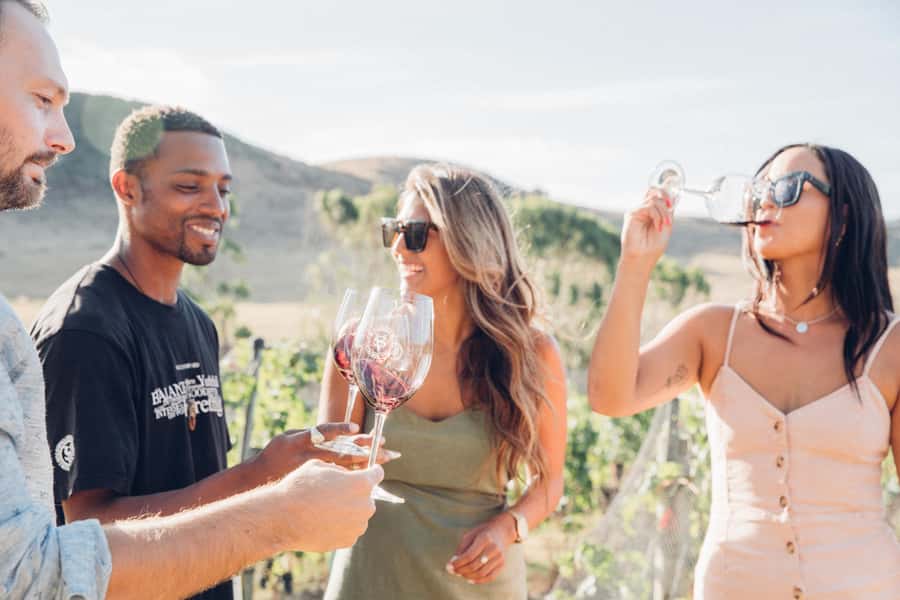 Waiheke Island: Wine Tour & Lunch at Award Winning Venue - First vineyard: your introduction to Waiheke wine