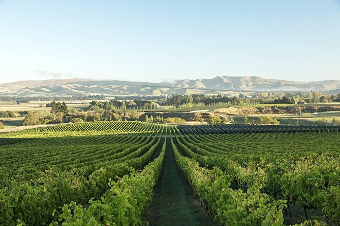 Waipara Wine Experience for 2 or more, inc tastings and lunch - Pegasus Bay: gardens, tastings, and an unusual bonus