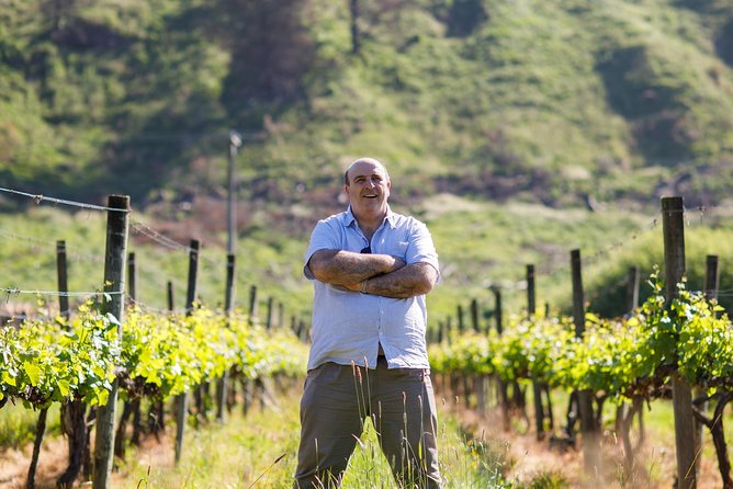 Waipara Wine Experience for 2 or more, inc tastings and lunch - Pace, comfort, and practical matters