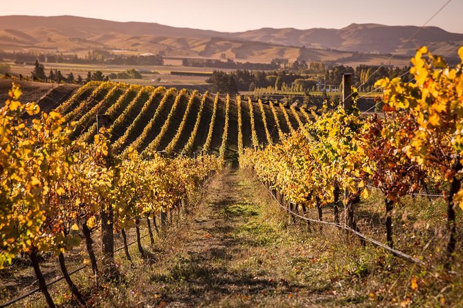 Waipara Wine Tour from Christchurch - including Lunch & Tastings - First stop: Waipara Springs and the included lunch