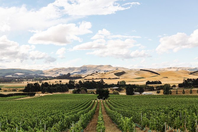 Waipara Wine Tour from Christchurch - including Lunch & Tastings - The wines and what 15 tastings really means