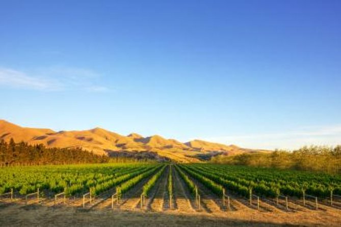 Waipara Wine Tour from Christchurch - including Lunch & Tastings - What the ride from Christchurch is like