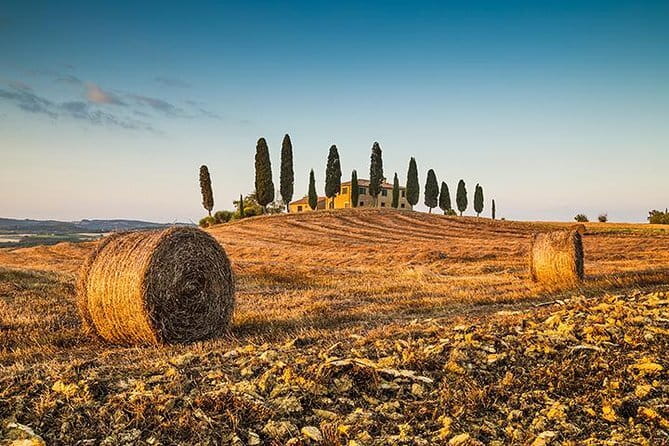 Walking Food Tour of Florence with Tastings and Wine - Fresh pasta as the main course