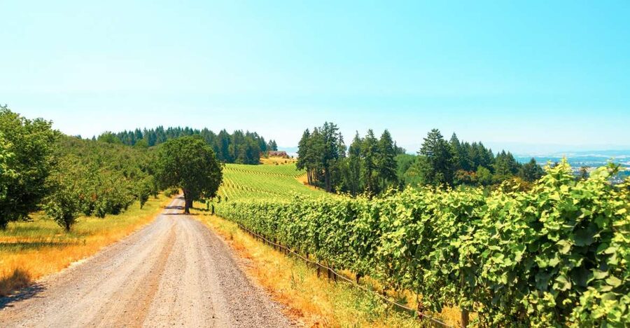 Willamette Valley Wine Tour - Key points to know before you book