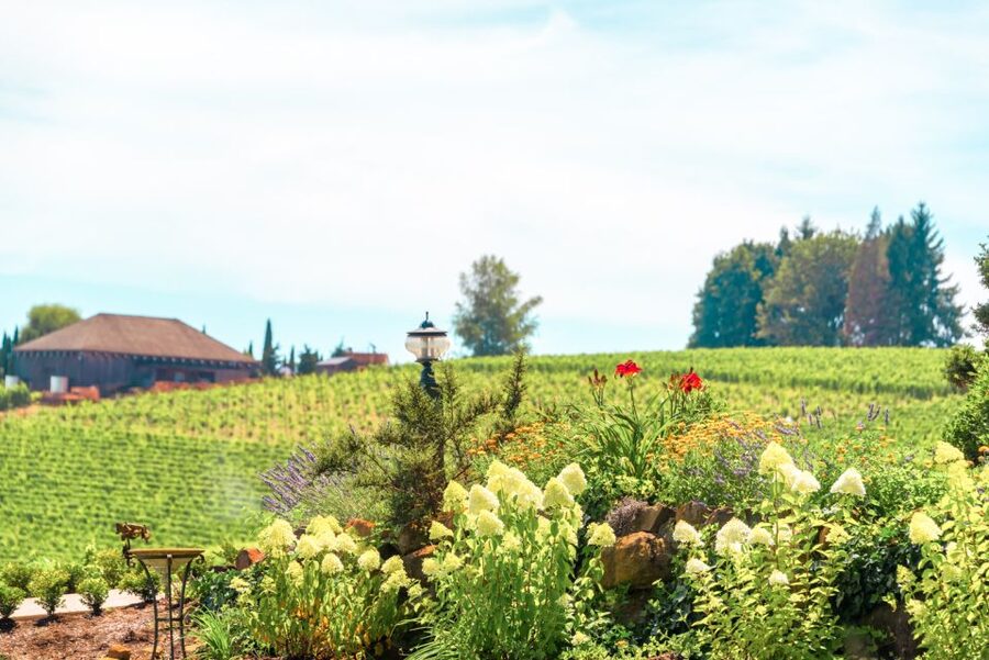 Willamette Valley Wine Tour - Who should book this Willamette Valley tour?