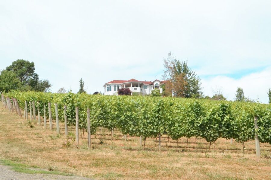 Willamette Valley Wine Tour - Three winery stops, three chances to taste Oregon