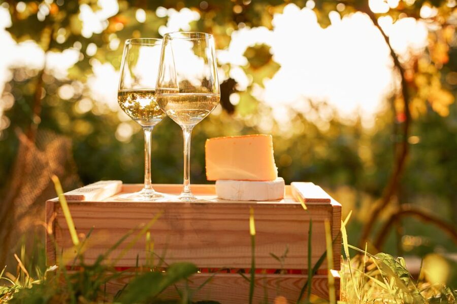 Willamette Valley Wine Tour - The first tasting: get oriented to Oregon wine
