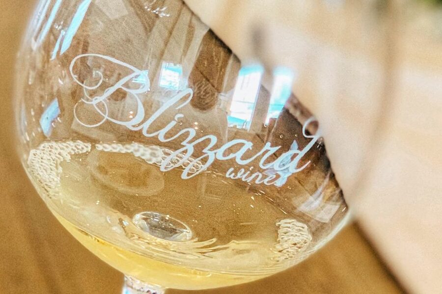 Willamette Valley Wine Tour - The second tasting: compare styles and settings