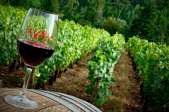 Willamette Valley Wine Tour from Portland - Is $145 a fair price?