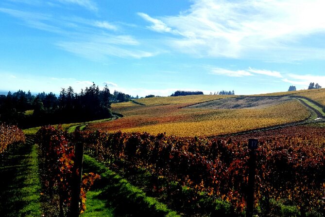 Willamette Valley Wine Tour with Lunch - What the $210 price really covers
