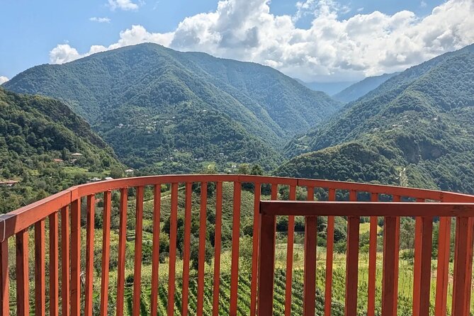 Wine and Dine Tour To Batumi Waterfalls - Mountainous Adjara - Is $42 Plus 40 Lari Good Value?