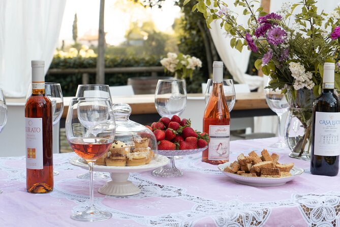 Wine and food tasting in an organic family winery - The vinsantaia and historic cellar