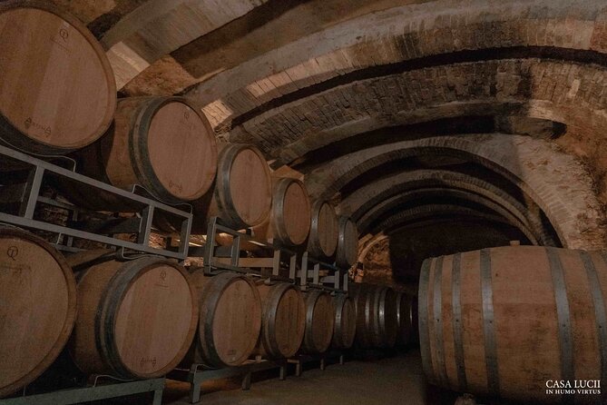 Wine and food tasting in an organic family winery - Eight organic wines, served with real food