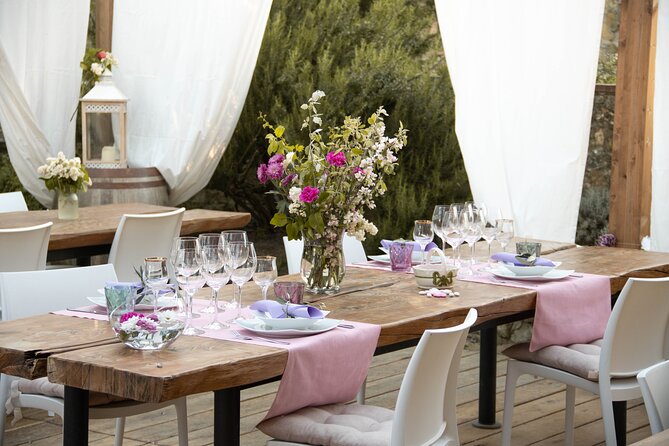 Wine and food tasting in an organic family winery - What makes the setting special