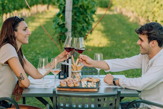 Wine and Food Tasting in the Vineyards in Lazise - Key points at a glance