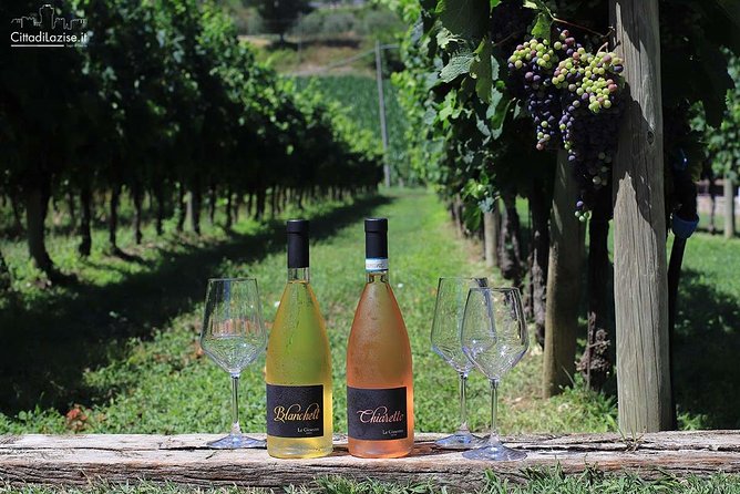 Wine and Food Tasting in the Vineyards in Lazise - Red wines with Verona salami and cheese