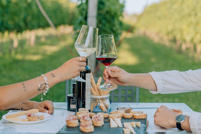 Wine and Food Tasting in the Vineyards in Lazise - What the two hours feel like