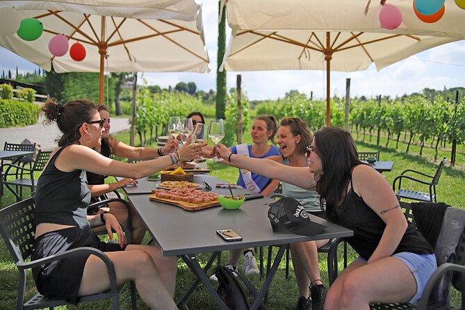 Wine and Food Tasting in the Vineyards in Lazise - Price and value at $50.81